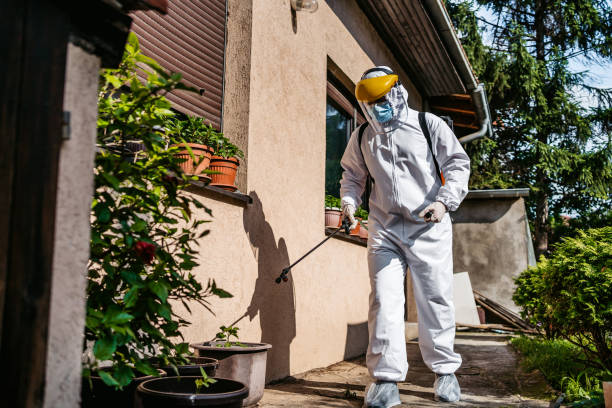 Best Termite Control Services  in Minerva, OH