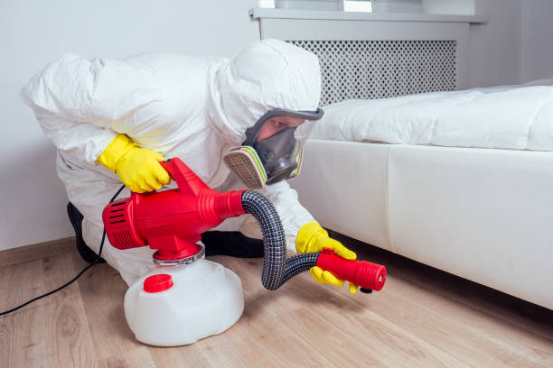 Best Exterminator Services  in Minerva, OH